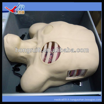 Mannequin de drainage pleural ISO, déviation de Pneumothorax, modèle de drainage thoracocentèse